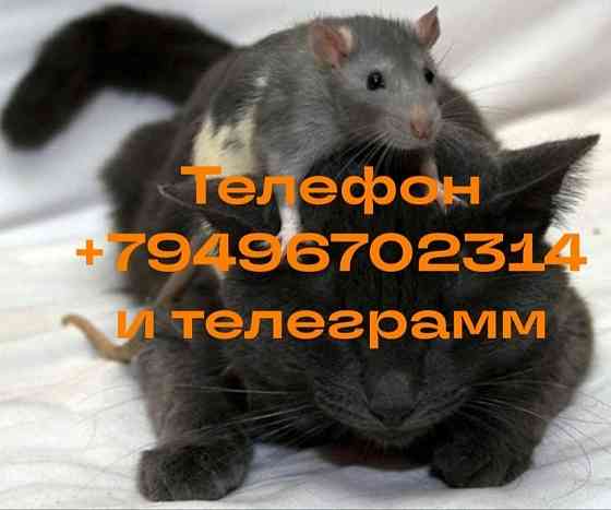 Массаж лечебно-оздоровительный Донецк