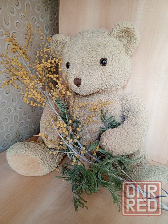 Медведь ретро 47 см Донецк - изображение 5