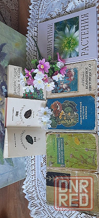 Книги ( словари , поэзия , проза ) Донецк - изображение 6