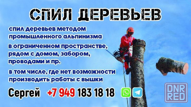 Валка деревьев любым способом Донецк - изображение 1