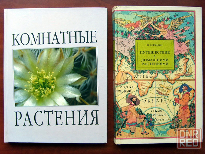 Цветы, цветоводство Донецк - изображение 2