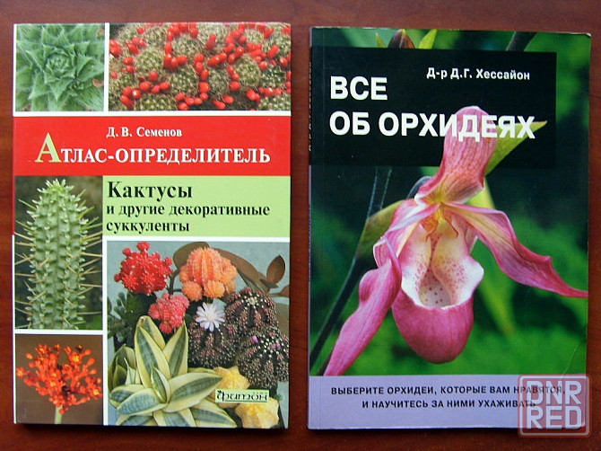 Цветы, цветоводство Донецк - изображение 4