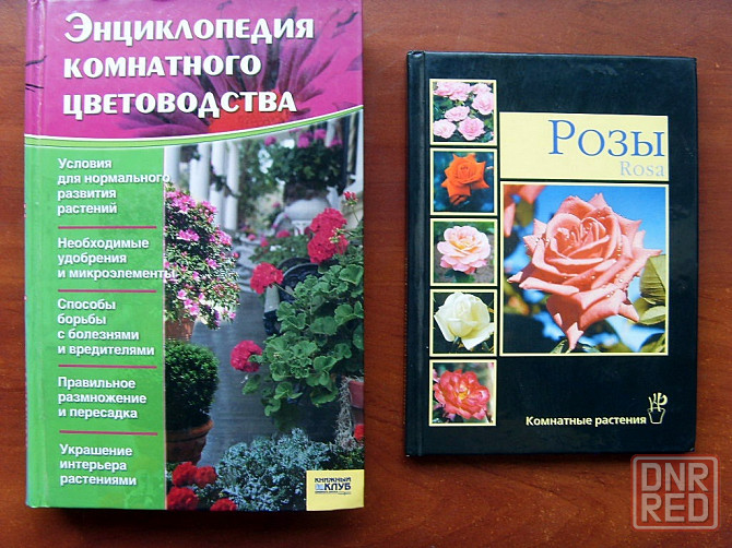 Цветы, цветоводство Донецк - изображение 6