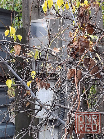 Собственник Донецк - изображение 2