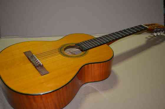 Гитара электрогитара акустическая мандолина балалайка домра Донецк