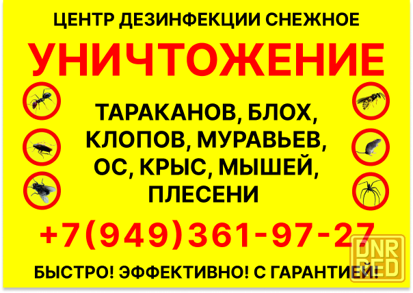 Уничтожение тараканов, клопов, ос, блох, крыс, мышей в Снежном Снежное - изображение 1