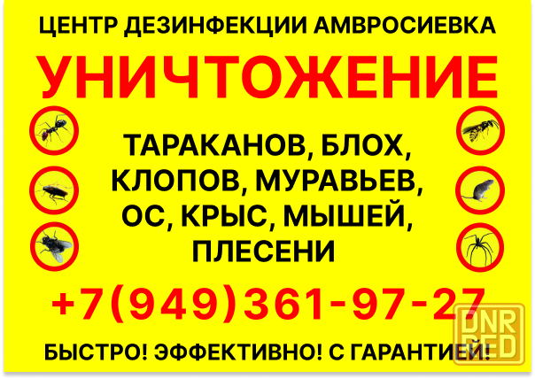 Уничтожение тараканов, клопов, ос, блох, крыс, мышей в Амвросиевке Амвросиевка - изображение 1