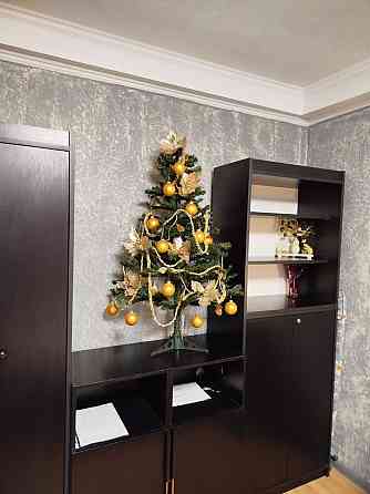 Свободно. Центр, Бесконтактное заселение ,Вода круглосуточно, Накопитель 1,5 тонны Донецк