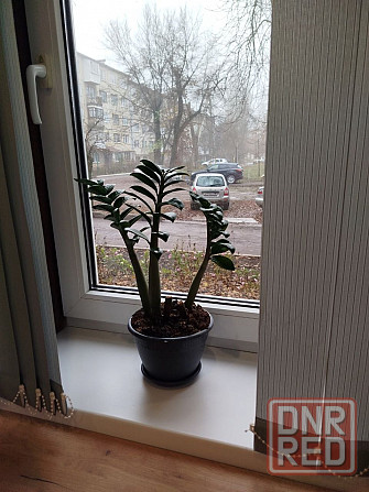 Свободно. Центр, Бесконтактное заселение ,Вода круглосуточно, Накопитель 1,5 тонны Донецк - изображение 6