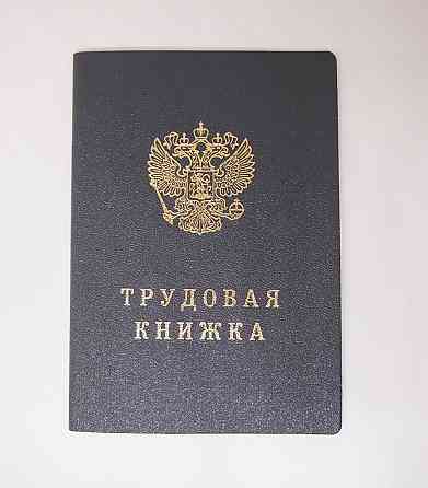Трудовая книжка Россия Донецк