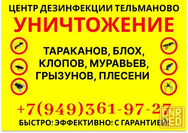 Уничтожение тараканов, клопов, ос, блох, крыс, мышей в Тельманово Тельманово - изображение 1