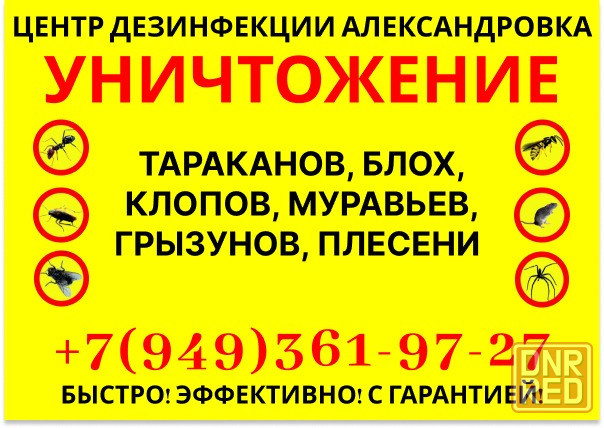 Уничтожение тараканов, клопов, ос, блох, крыс, мышей в Александровке Александровка - изображение 1