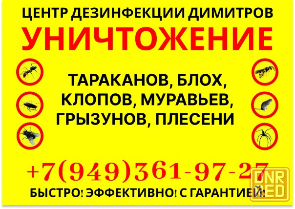 Уничтожение тараканов, клопов, ос, блох, крыс, мышей в Димитрове Димитров - изображение 1