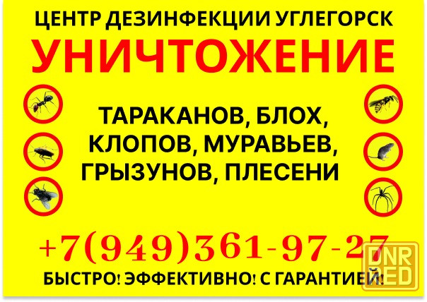 Уничтожение тараканов, клопов, ос, блох, крыс, мышей в Углегорске Углегорск - изображение 1