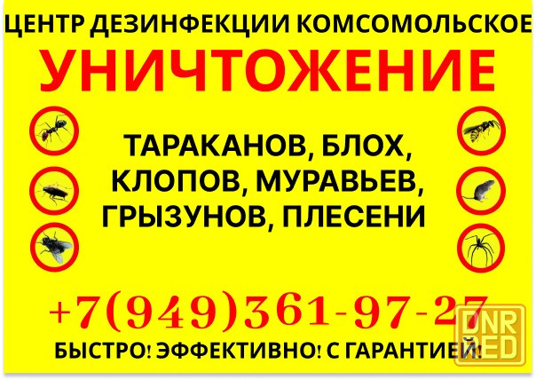 Уничтожение тараканов, клопов, ос, блох, крыс, мышей в Комсомольском Комсомольское - изображение 1