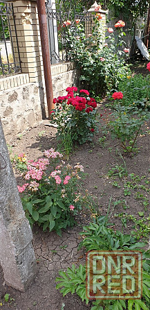 Продам хороший домик в Волновахе, все коммуникации. Донецк - изображение 5