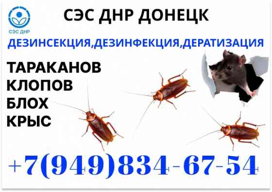 Уничтожение Тараканов, Крыс, Клопов в Донецке. Конфиденциально. Работаем по Договору. Донецк