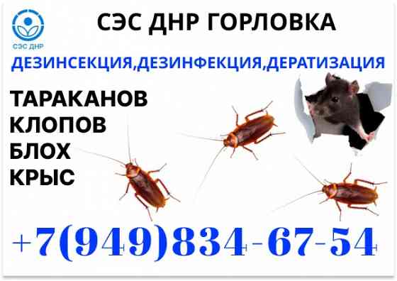 Уничтожение Тараканов, Крыс, Клопов в Горловке. Конфиденциально. Работаем по Договору. Горловка