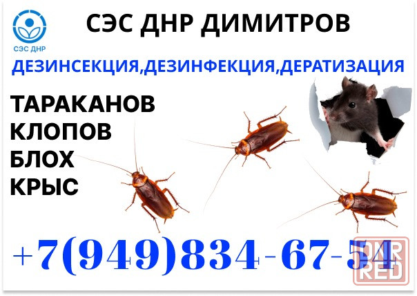 Уничтожение Тараканов, Крыс, Клопов в Димитрове. Конфиденциально. Работаем по Договору. Димитров - изображение 1