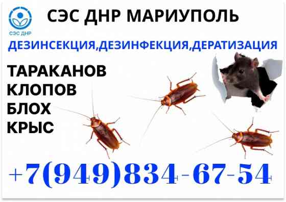 Уничтожение Тараканов, Крыс, Клопов в Мариуполе. Конфиденциально. Работаем по Договору. Мариуполь