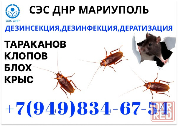 Уничтожение Тараканов, Крыс, Клопов в Мариуполе. Конфиденциально. Работаем по Договору. Мариуполь - изображение 1