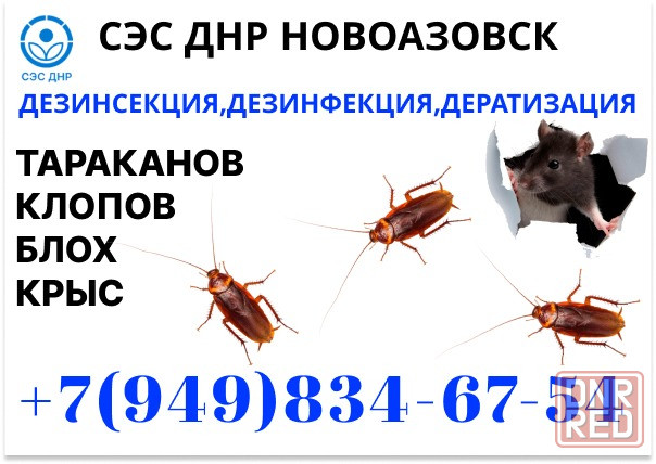 Уничтожение Тараканов, Крыс, Клопов в Новоазовске. Конфиденциально. Работаем по Договору. Новоазовск - изображение 1