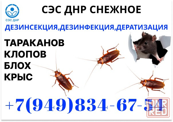 Уничтожение Тараканов, Крыс, Клопов в Снежном. Конфиденциально. Работаем по Договору. Снежное - изображение 1