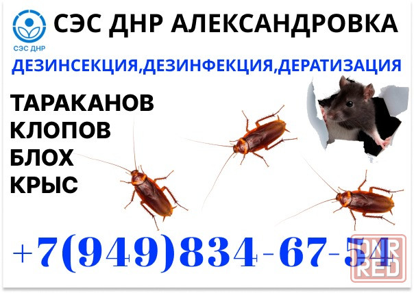 Уничтожение Тараканов, Крыс, Клопов в Александровке. Конфиденциально. Работаем по Договору. Александровка - изображение 1