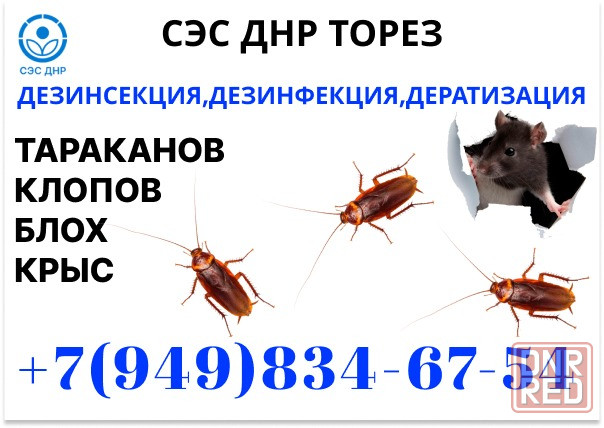 Уничтожение Тараканов, Крыс, Клопов в Торезе. Конфиденциально. Работаем по Договору. Торез - изображение 1