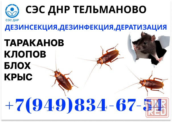 Уничтожение Тараканов, Крыс, Клопов в Тельманово. Конфиденциально. Работаем по Договору. Тельманово - изображение 1