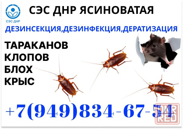 Уничтожение Тараканов, Крыс, Клопов в Ясиноватой. Конфиденциально. Работаем по Договору. Ясиноватая - изображение 1