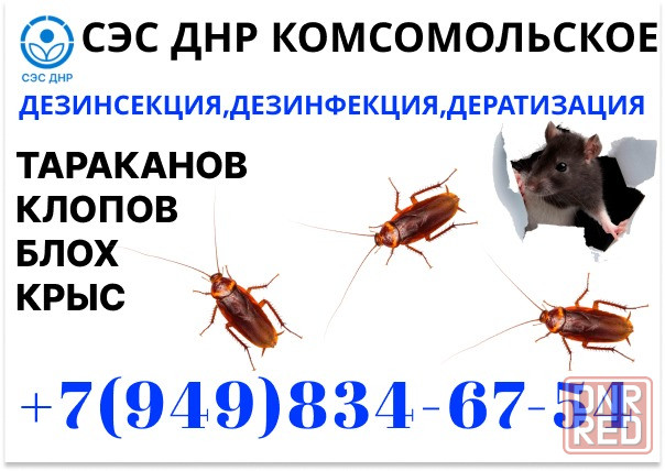 Уничтожение Тараканов, Крыс, Клопов в Комсомольском. Конфиденциально. Работаем по Договору. Комсомольское - изображение 1