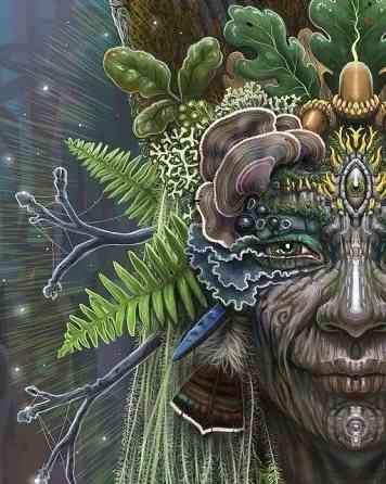 Мухомор красный ( amanita muscaria ) Донецк