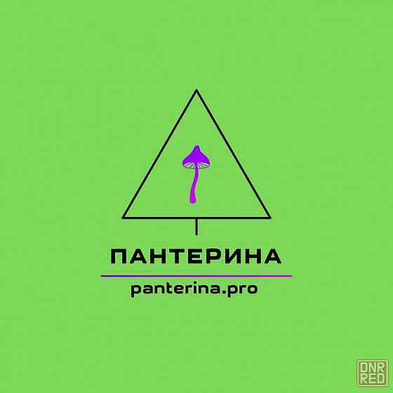 Мухомор красный ( amanita muscaria ) Донецк