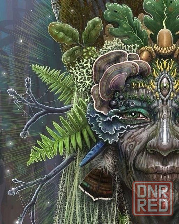 Мухомор красный ( amanita muscaria ) Донецк - изображение 5