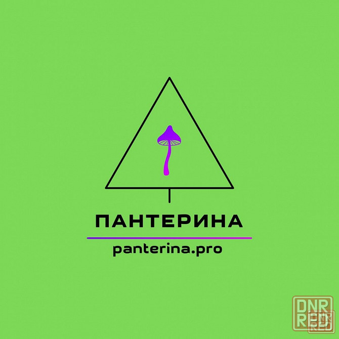 Мухомор красный ( amanita muscaria ) Донецк - изображение 3