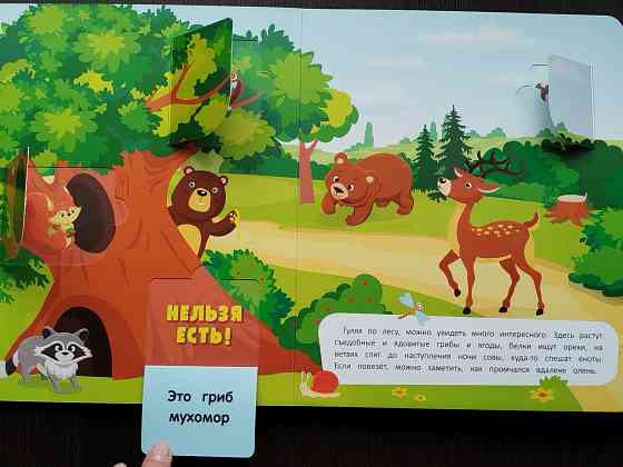 Книги детские с клапанами Донецк