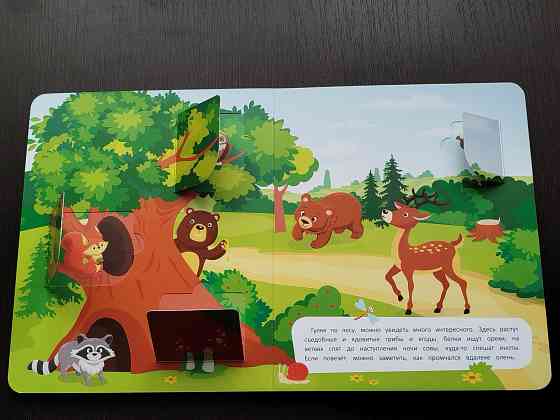 Книги детские с клапанами Донецк