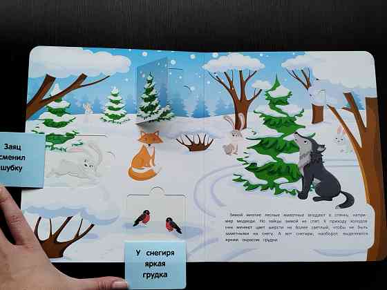 Книги детские с клапанами Донецк