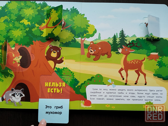 Книги детские с клапанами Донецк - изображение 5