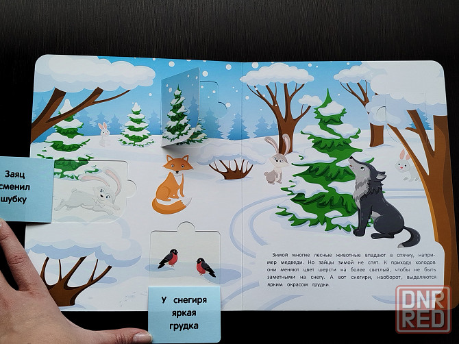 Книги детские с клапанами Донецк - изображение 3