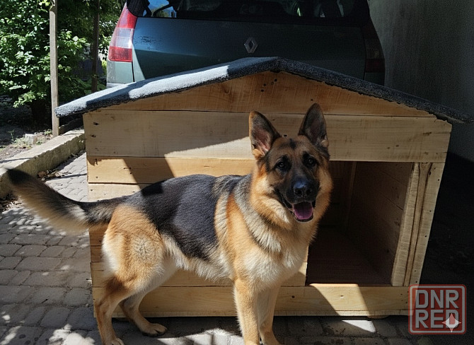 Будка Донецк - изображение 1