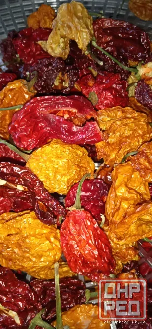 Сушеные сверх острые перцы (Скорпион, Хабанеро, Каролина Рипер и др) Донецк - изображение 1