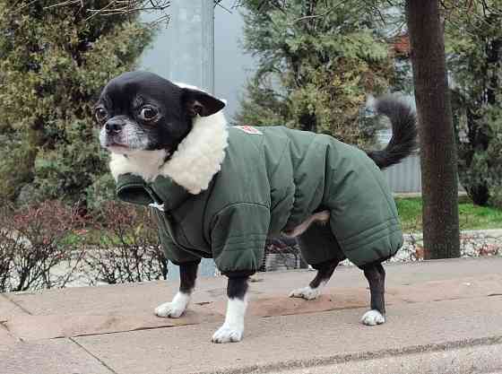 Комбинезон зимний для собак Донецк
