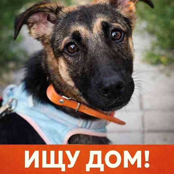 Лилу срочно ищет своего человека! Донецк