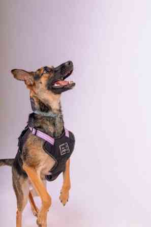 Лилу срочно ищет своего человека! Донецк