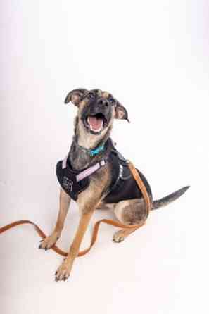 Лилу срочно ищет своего человека! Донецк