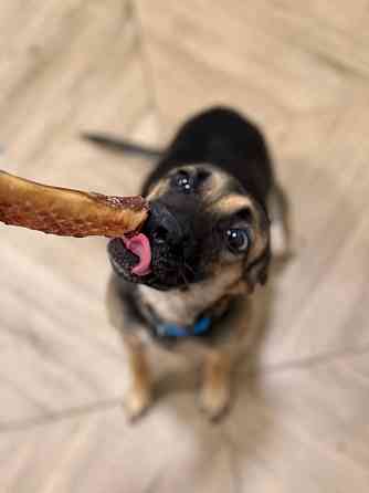 Лилу срочно ищет своего человека! Донецк