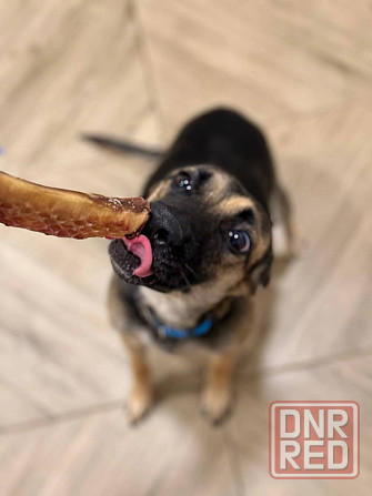 Лилу срочно ищет своего человека! Донецк - изображение 2