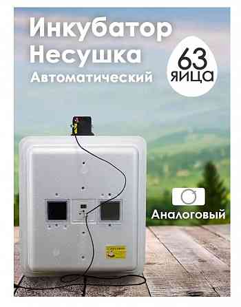 Инкубаторы Несушка (автопереворот + терморегулятор). Новые + Гарантия Донецк